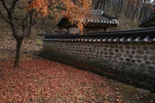 죽은자, 또한 산자의 공감 무덤_ 강원도 - 국립민속박물관 민속현장조사 죽은자, 또한 산자의 공감 무덤_ 강원도