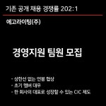 [에고라이팅(주)] 스타트업/경영지원 팀원 모집 (상한선 없는 연봉협상) - 사람인