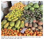그림모든오피아 | 빠르게 성장하는 에티오피아, 스마트농업 도입이 혁신의 중요한 변곡점 되길 | 나라경제 | KDI 경제교육·정보센터