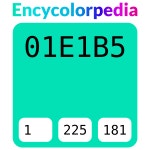 #01e1b5 헥스 색상 코드 스킴, 챠트, 팔레트, 페인트 & 그림 물감 #01e1b5 헥스 색상 코드