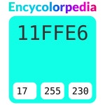 #11ffe6 헥스 색상 코드 스킴, 챠트, 팔레트, 페인트 & 그림 물감 #11ffe6 헥스 색상 코드