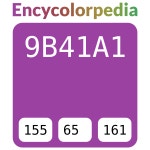 #9b41a1 헥스 색상 코드 스킴, 챠트, 팔레트, 페인트 & 그림 물감 #9b41a1 헥스 색상 코드