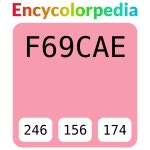 #f69cae 헥스 색상 코드 스킴, 챠트, 팔레트, 페인트 & 그림 물감 #f69cae 헥스 색상 코드