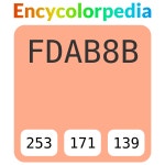 #fdab8b 헥스 색상 코드 스킴, 챠트, 팔레트, 페인트 & 그림 물감 #fdab8b 헥스 색상 코드