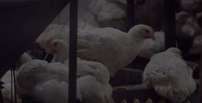 JEONJU Intl. Film Festival 제26회 전주국제영화제 | The 26th JEONJU International Film Festival