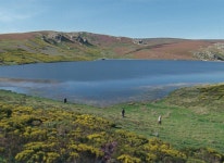 JEONJU Intl. Film Festival [씨네21X전주국제영화제] 추천작: 다네 콤렌 감독, ＜애프...