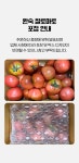 완숙 찰토마토 5kg 중대과