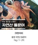 [착한어부] 통영 자연산 돌문어 1kg / 1~2미 - NS홈쇼핑