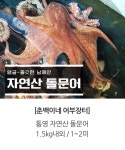 농협몰 [착한어부] 통영 자연산 돌문어 1.5kg내외 / 1~2미