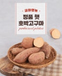 [금화영농]햇 호박고구마 5kg(특상)[실중량] - NS홈쇼핑  [금화영농]햇 호박고구마 5kg(특상)[실중량] - NS홈쇼핑