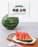 [금화영농]특품 수박 6kg 이상[실중량] - NS홈쇼핑  [금화영농]특품 수박 6kg 이상[실중량] - NS홈쇼핑