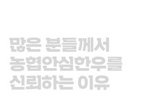 세울에프에스한우전문판매장천천점 | 솔캠부터 패밀리캠까지 캠핑장에서 즐기는 1등급 한우 파티 by 인정에프앤비