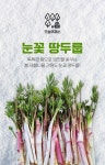 오늘의채소 무농약 눈꽃땅두릅 500g