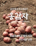 [오늘의채소] 국내산 포슬포슬 홍감자 3kg (중) 카스테라감자 - NS홈쇼핑