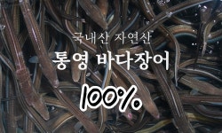 국내산 자연산 통영 바다장어 구이용 3kg (2미~5미) - 예스24