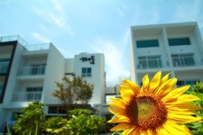 서귀포 해와돌바라기 (Jeju Baraki) 이용 후기 서귀포에 있는 해와돌바라기 (Jeju Baraki)