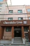 서울 초콜렛 트리 (Chocolate Tree) 이용 후기 서울에 있는 초콜렛 트리 (Chocolate Tree)