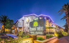 Reviews for Lemon Tree Hotel & Suites Anaheim, Anaheim Lemon Tree Hotel &amp; Suites Anaheim in Anaheim