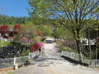 가평 화야산장펜션 (HWAYA MOUNTAIN PENSION) 이용 후기 가평에 있는 화야산장펜션 (HWAYA MOUNTAIN PENSION)
