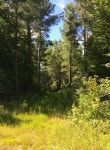 클라크스빌 Solar powered lake cottage with dock on private 300 acre preserve 이용 후기 클라크스빌에 있는 Solar powered... 