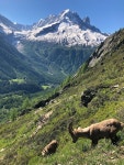 샤모니 몽 블랑 In a beautiful Chamonix hamlet, authentic and close to all activities 이용 후기 샤모니 몽 블랑에 있는 In... 