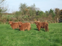 Reviews for Glendine Country House, Arthurstown Glendine Country House in Arthurstown