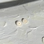 [판타스틱 플래닛]organza flower earrings [W CONCEPT]