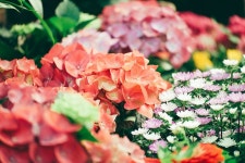 [NX1] 망퍼맨과 12-24 , 평생모델 ^^;; 2탄 - 삼성 Talk [NX1] 망퍼맨과 12-24 , 평생모델 ^^;; 2탄