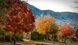  LATINOAMÉRICA | Otoño e Invierno en las ciudades latinoamericanas | Outono e Inverno nas cidades latino-americanas - Page 52... 