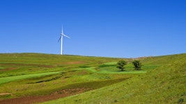 Lets share shots with Q! - Page 315 - PentaxForums.com