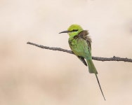 Flickriver: Most interesting photos tagged with fuladuwest