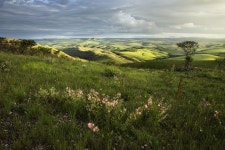  America - The New World - One photo per post - Page 346 - SkyscraperCity