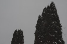  The Creative Photography Thread X - Dont be a prick