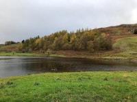 Walk Report - Great Crag and Ullscarf • Walkhighlands Walk Report - Great Crag and Ullscarf