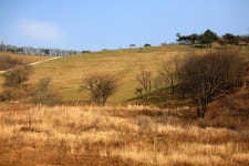 양떼목장 35 - a photo on Flickriver