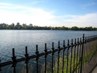 Flickriver: Photoset late day, Central Park by christheobscure