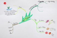 교하도서관 Mindmap 29 - a photo on Flickriver