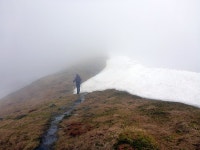 Walk Report - Catch Up in Glens Lochay & Orchy plus a Raspberry. • Walkhighlands Walk Report - Catch Up in Glens Lochay & Orchy... 