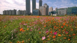 Incheon 인천 Pics | Page 6 | SkyscraperCity Incheon 인천 Pics