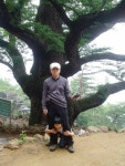 Flickriver: Photoset 경기남양 by pcamp