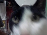 Flickriver: zetagundALs photos tagged with 테스트