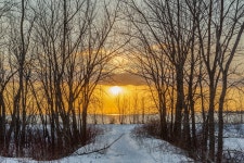 Photos of Trees (2013, shot, JPG, flickr) - Photography -Digital cameras, SLR, lenses, printing, processing, colors, black-and... 