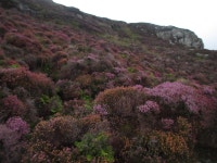 Walk Report - Hecla and Uisinis bothy • Walkhighlands Walk Report - Hecla and Uisinis bothy