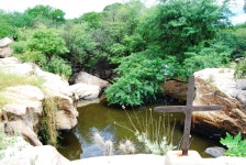  Paisagens deslumbrantes da Caatinga no Seridó Potiguar - Page 4 - SkyscraperCity