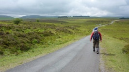 Walking on the road - a photo on Flickriver