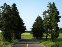 Flickriver: Most interesting photos tagged with 제주시