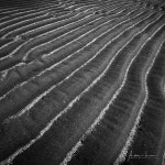 Flickriver: Alec Luxs photos tagged with lines