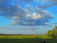  UKRAINE: small cities, towns and villages - Page 8 - SkyscraperCity