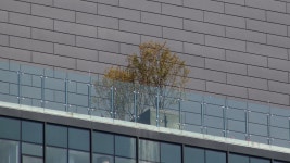 SkyscraperPage Forum - CHICAGO | Highrise Projects & Construction, v7