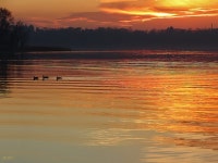 Flickriver: Photoset Laghi by Gio\/anni